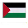 Mini Palestina vlag