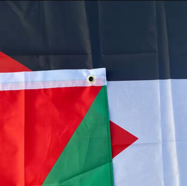 Palestina vlag 🇵🇸