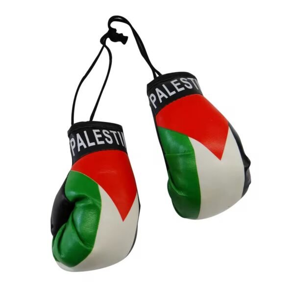 Palestina autohanger bokshandschoenen 🇵🇸